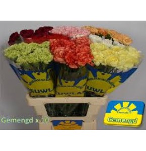ΓΑΡΥΦΑΛΛΑ ΜΙΞ ANJER GEMENGT