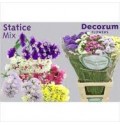 ΠΡΟΒΑΤΣΙΑ  ΜΙΞ...-LIMONIUM  ST.  GEMENGT