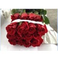 ΤΡΙΑΝΤΑΦΥΛΛΑ ΚΟΚΚΙΝΑ 60εκ  ROSEN  INCREDIBLE