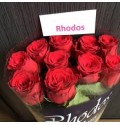ΤΡΙΑΝΤΑΦΥΛΛΑ ΚΟΚΚΙΝΑ 50εκ.εισαγ.  ROSEN  RHODOS