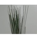 ΣΤΙΛΓΡΑΣ SPEASGRASS